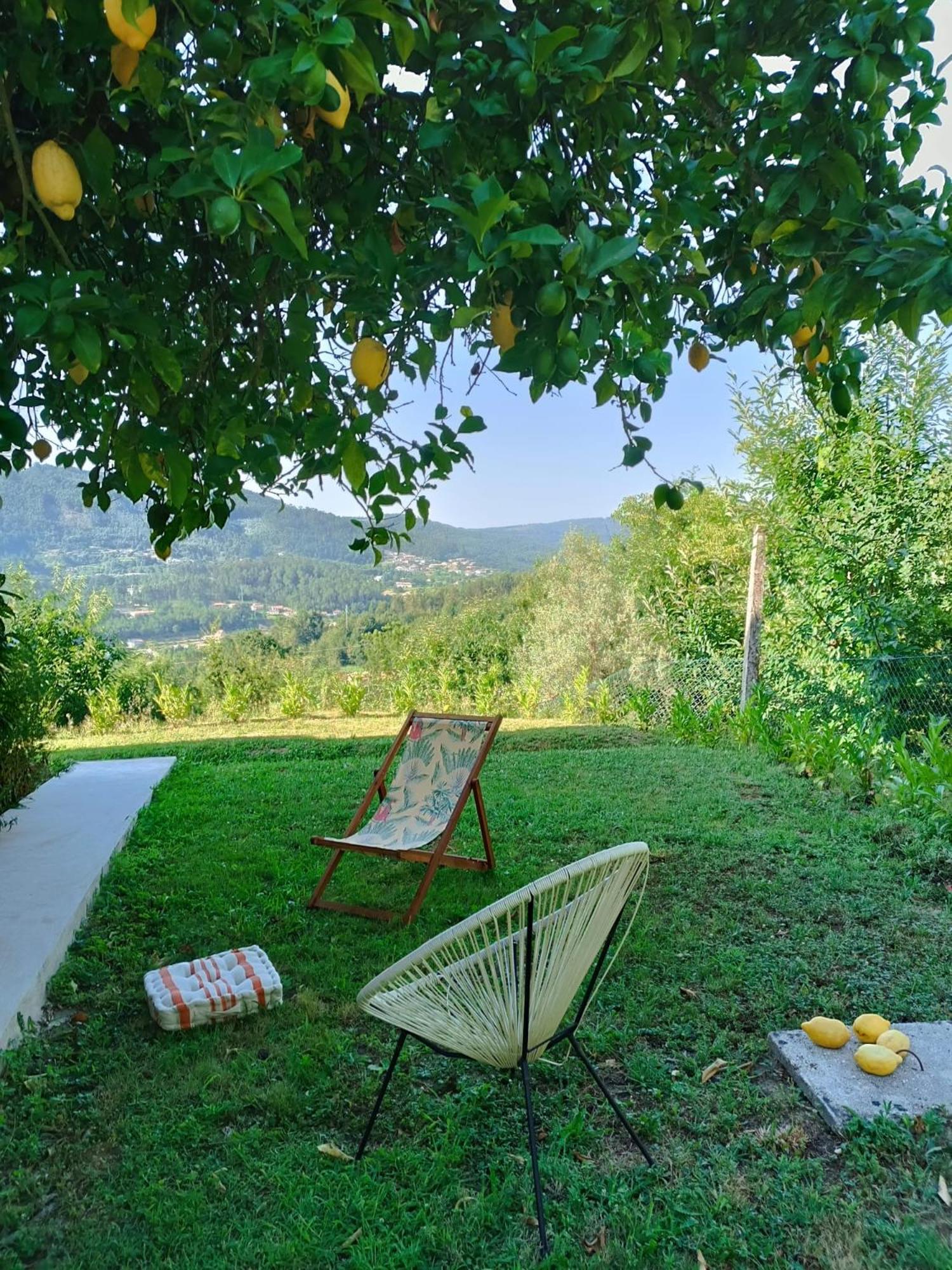 Casa De Fraguas Holiday home Arouca